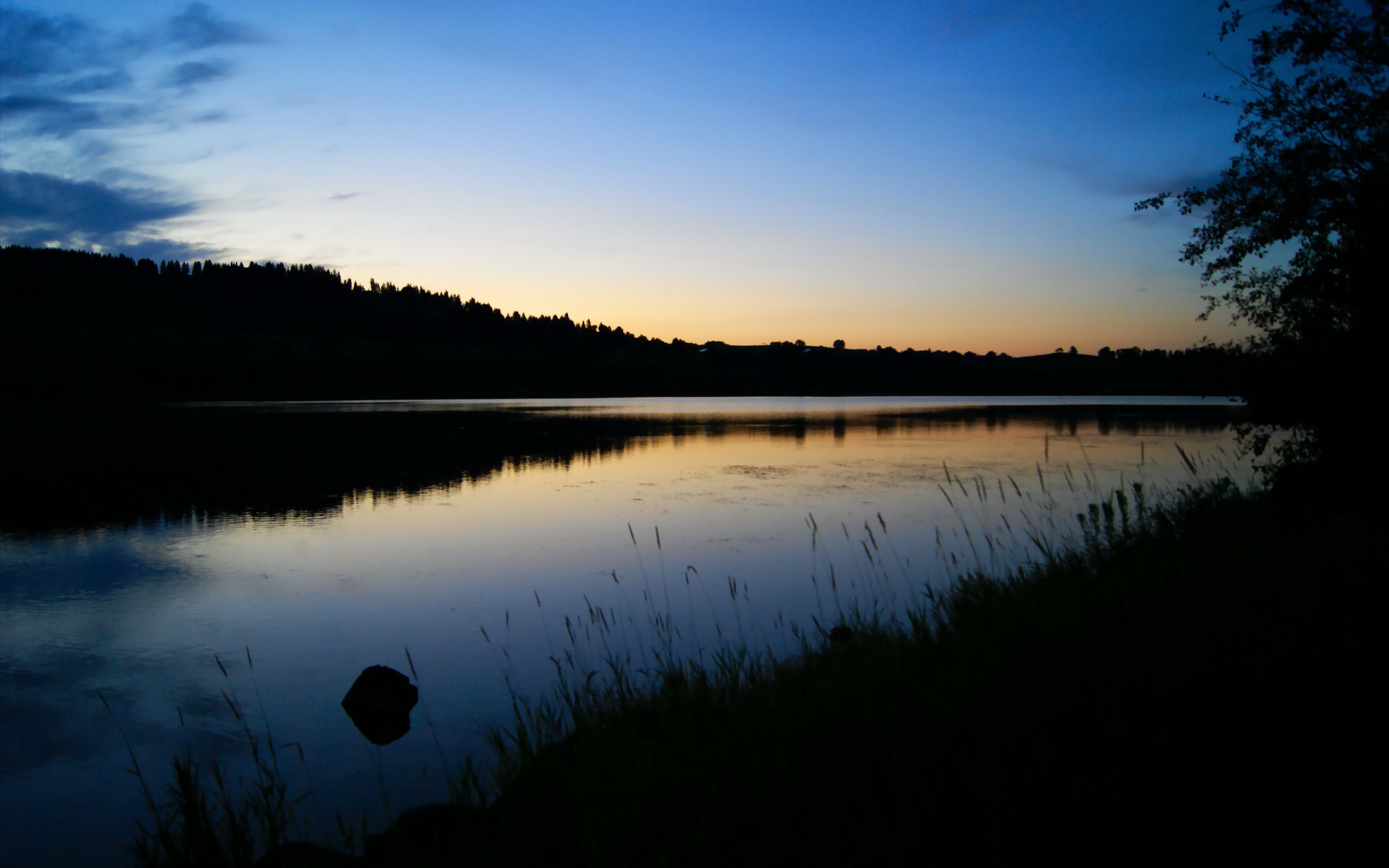 东方奇迹夜！上海队掀翻夺冠热门，文班亚马41+17+9让密尔沃基沉默